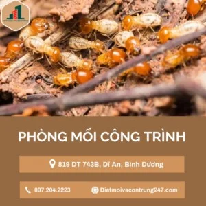 Diệt Côn Trùng Phương Đông – Công Ty TNHH Thương Mại Và DV Hoàng Gia Phương Đông
