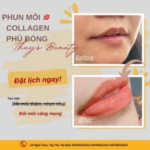 Công Ty TNHH MTV Thương Mại – Dịch Vụ T&T