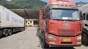 Xuân Bảo Logistics – Công Ty TNHH Liên Vận Trung Việt Xuân Bảo