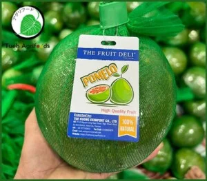 Nông Sản Tuệ Hương – Công Ty TNHH Xuất Nhập Khẩu Tuệ Hương