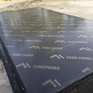 Công Ty TNHH Thương Mại Dịch Vụ Sao Thiên Vương
