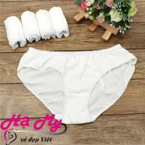 Đồ Lót Giấy Hạ My – Công Ty TNHH TM DV SX Quần Lót Dùng Một Lần Hạ My