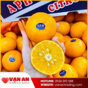 Tổng Kho Trái Cây Nhập Khẩu – Công Ty Cổ Phần Vạn An Trading