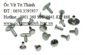 Công Ty TNHH MTV Trí Thành