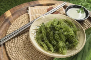Muối Hòn Khói – Công Ty TNHH Quốc Tế Hòn Khói
