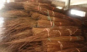 Bambu – Công Ty TNHH Bambu