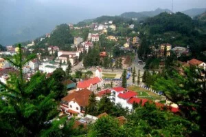 Công Ty CP Dịch Vụ & Du Lịch Việt Phong