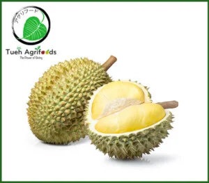 Nông Sản Tuệ Hương – Công Ty TNHH Xuất Nhập Khẩu Tuệ Hương