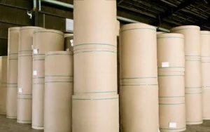 Công Ty Trách Nhiệm Hữu Hạn May Mặc Bà Rịa