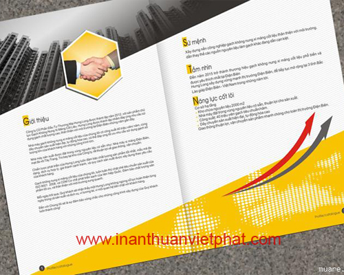 In ấn Nhất Tín – Công Ty TNHH Sản Xuất Bao Bì Nhất Tín