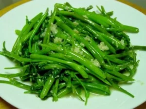 Suất Ăn Công Nghiệp Tân Khôi Nguyên – Công Ty TNHH SX & TM Tân Khôi Nguyên