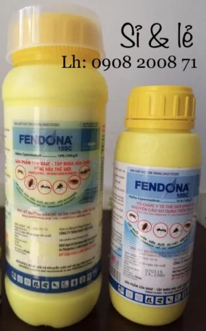 Trừ Mối Hòa Tâm – Công Ty TNHH Thương Mại – Dịch Vụ Trừ Mối Hòa Tâm
