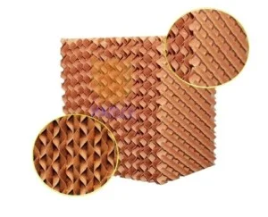 Cơ Điện Lạnh NP Việt Nam – Công Ty Cổ Phần Cơ Điện Lạnh NP Việt Nam