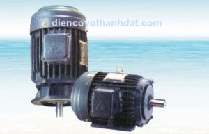 Công Ty TNHH Thương Mại Dịch Vụ Kỹ Thuật Điện Cơ Võ Thành Đạt