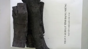 Công Ty Cổ Phần Xuất Nhập Khẩu Sen Hồ