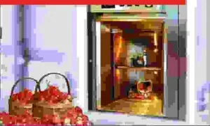 Thang Máy Việt Tín Phát – Công Ty CP Thiết Bị Và Xây Dựng Việt Tín Phát