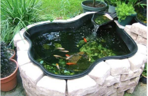 Công Ty TNHH Cảnh Quan ý Tưởng Mới