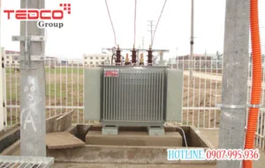 Chi Nhánh Công Ty Cổ Phần Tedco Việt Nam