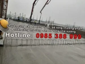 Công Ty Cổ Phần Đầu Tư Thương Mại Xây Dựng Việt Đức