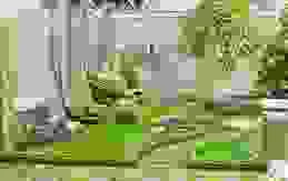 Công Ty TNHH Cảnh Quan Trịnh Thập