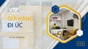Công Ty TNHH Thương Mại Dịch Vụ Giao Nhận Vận Tải Quốc Tế Việt Tín