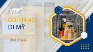 Công Ty TNHH Thương Mại Dịch Vụ Giao Nhận Vận Tải Quốc Tế Việt Tín