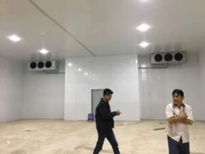 Kho Lạnh Tuấn Ngọc Anh – Công Ty TNHH MTV TM DV Cơ Điện Lạnh Tuấn Ngọc Anh