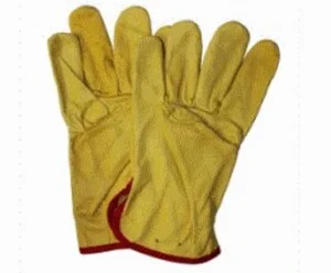 Công Ty TNHH Dịch Vụ An Toàn Kanga