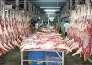 Nông Sản Hưng Việt – Công Ty CP Nông Sản Hưng Việt