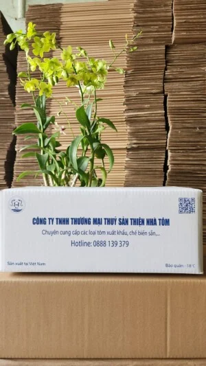Thùng Carton Hoàng Nam Như – Công Ty TNHH Sản Xuất Thương Mại Hoàng Nam Như
