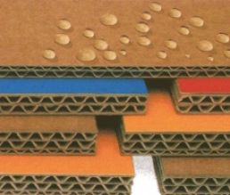 Bao Bì Đại Thắng Lợi – Công Ty TNHH Bao Bì Đại Thắng Lợi