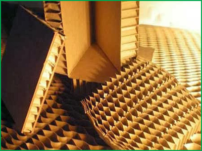 Công Ty TNHH Song Bảo Phát