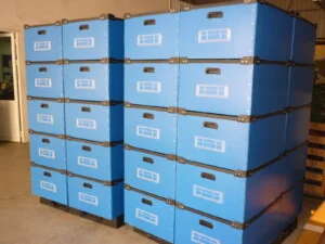 Công Ty Cổ Phần STM