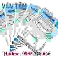 Diệt Mối Văn Tâm – Công Ty Diệt Mối Văn Tâm