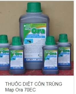 Công Ty TNHH Dịch Vụ Thương Mại Việt Nam Thăng Long