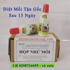 Diệt Mối Minh Long – Công Ty TNHH Thương Mại Dịch Vụ Trừ Mối Và Côn Trùng Minh Long