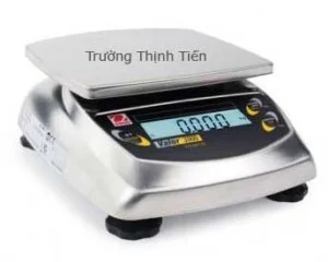 Công Ty Cổ Phần Sản Xuất Thương Mại Dịch Vụ Trường Thịnh Tiến