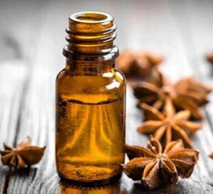 Công Ty TNHH Hương Liệu Và Gia Vị Bạch Cúc