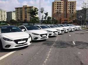 Công Ty TNHH Vận Tải Và Du Lịch Đức Vinh
