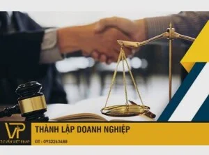 Tư Vấn Thành Lập Doanh Nghiệp Hồ Chí Minh – Công Ty TNHH Dịch Vụ Tư Vấn Việt Pháp