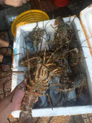 Công Ty TNHH Thông Thuận