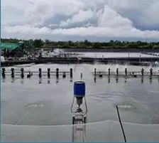 Thiết Bị Chăn Nuôi Hoa Hải Thanh – Công Ty TNHH Mũ Bảo Hiểm Hoa Hải Thanh