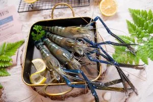 Công Ty TNHH Đầu Tư Thương Mại Dịch Vụ Xuất Nhập Khẩu Tâm Phúc