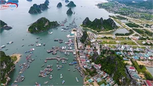 Công Ty TNHH XNK Thương Mại Và Du Lịch DIMA TOUR