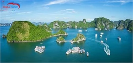 Công Ty TNHH XNK Thương Mại Và Du Lịch DIMA TOUR