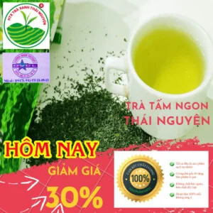 Hợp Tác Xã Trà Xanh Thái Nguyên