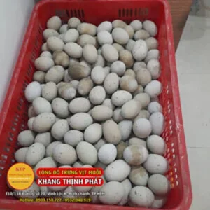 Trứng Muối Khang Thịnh Phát – Công Ty TNHH Sản Xuất Thương Mại Thực Phẩm Khang Thịnh Phát