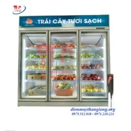 Điện Máy Thăng Long – Công Ty Cổ Phần Điện Tử Điện Máy Thăng Long