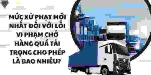 Công Ty Luật TNHH ánh Ngọc Justice & Trust