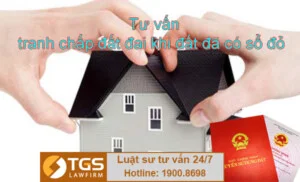 TGS LawFirm – Công Ty TNHH Luật TGS